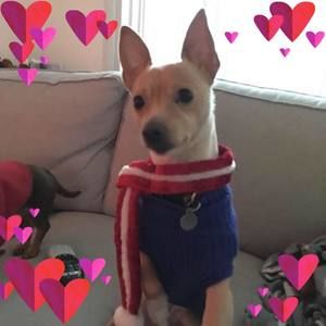 Meet your Posher, Lisa